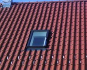 IMAG0574